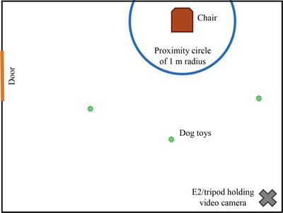 Considering Family Dog Attachment Bonds: Do Dog-Parent Attachments Predict Dog-Child Attachment Outcomes in Animal-Assisted Interventions?